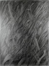 grief3