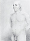 haydn