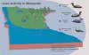 Dralle Layout