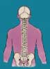 Microcosmic Orbit