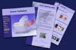 Web Pages
